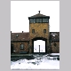 birkenau enterence-t